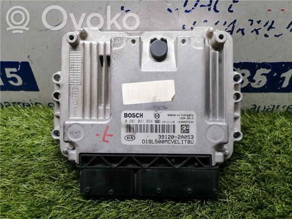 Engine control unit/module ECU   391202A053,281031654