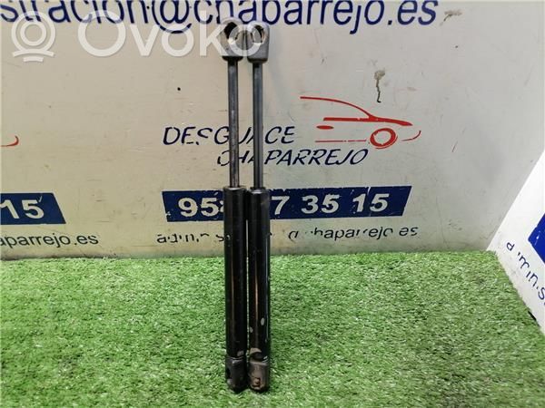 Amortiguador del maletero/compartimento de carga