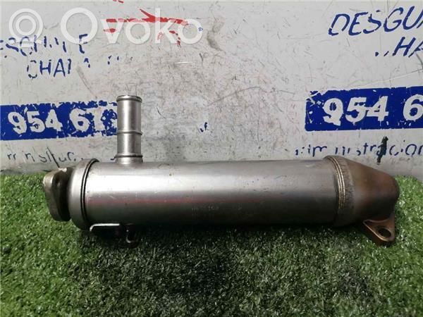 Jaguar X-Type Valvola di raffreddamento EGR 