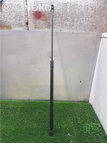 Volkswagen Golf VI Ammortizzatore portellone anteriore/cofano 