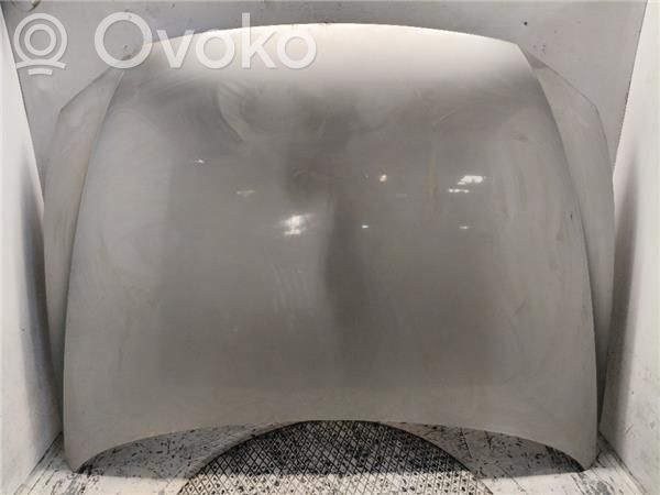 Motorhaube