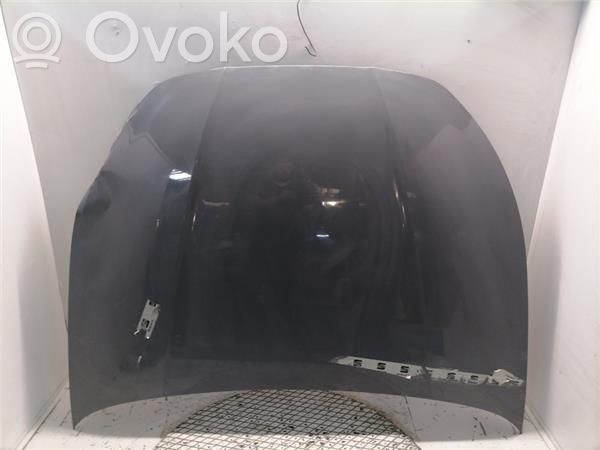 Engine bonnet/hood