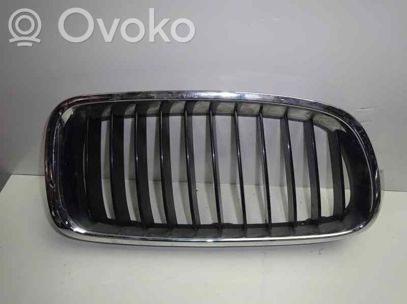 BMW 3 E92 E93 Front grill 