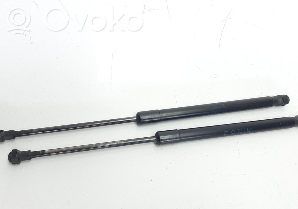 Tailgate/trunk strut/damper   51247060622,41CM400N