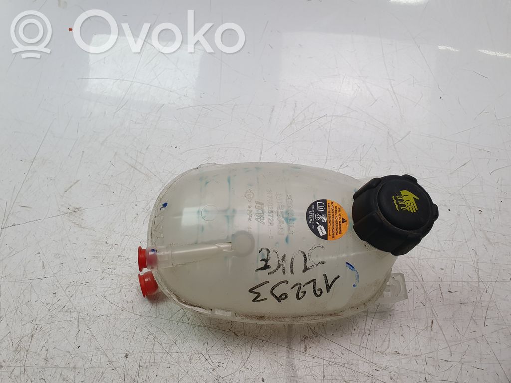 Nissan Juke II F16 Vaso di espansione carburante
