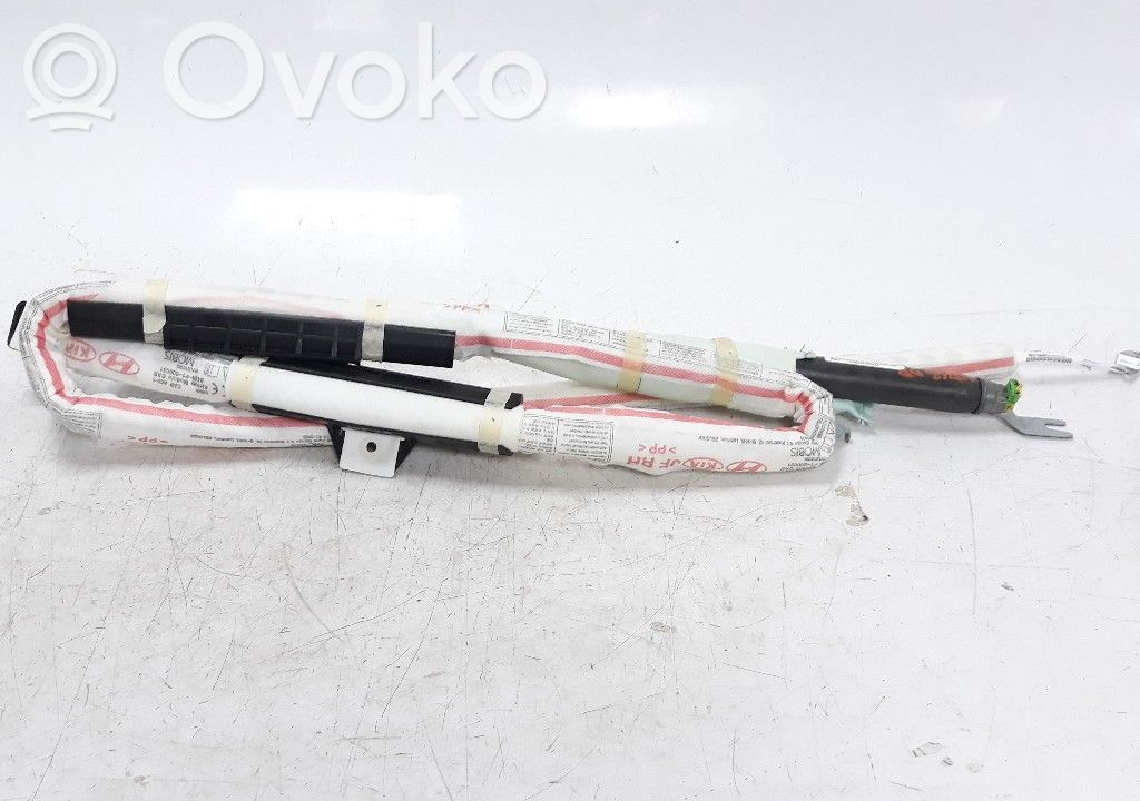 KIA Optima Airbag de la puerta delantera 