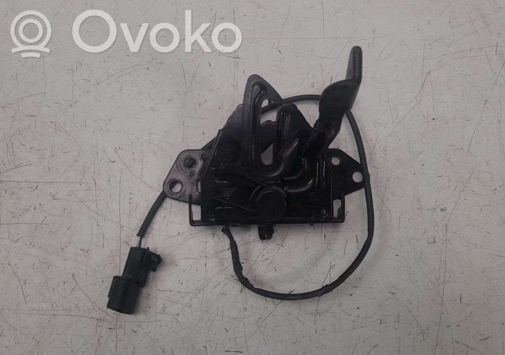Tie down hook / loop   81130H8400