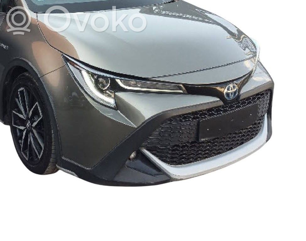 Front bumper   52119F2907