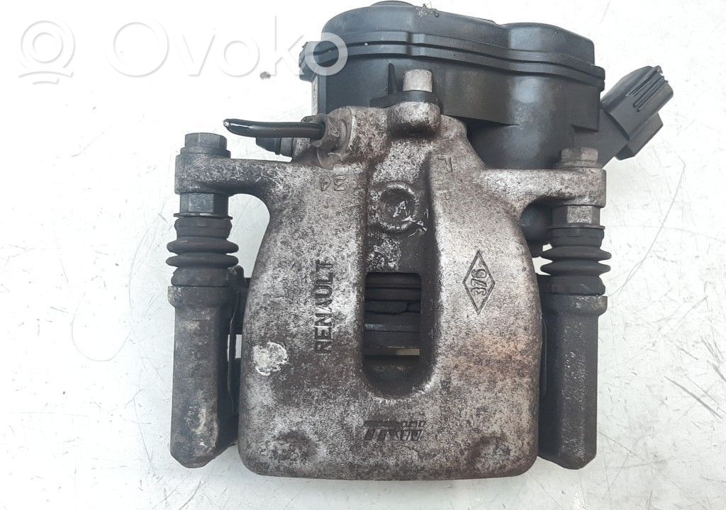 Takajarrusatula   440102370R
