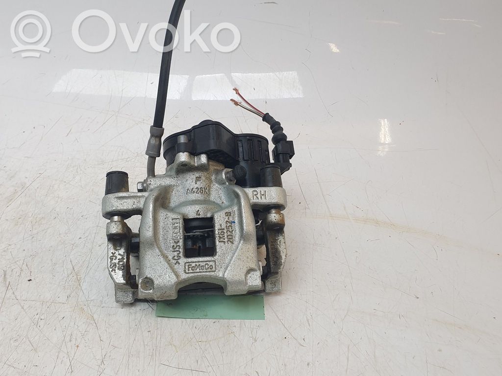 Takajarrusatula   JX612D253B