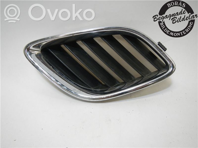 Front bumper lower grill   5336151