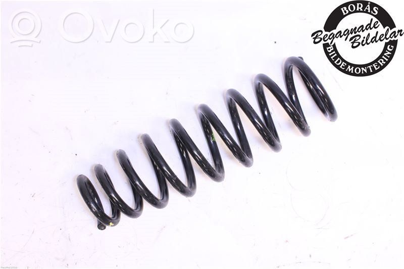 Front coil spring   GS1R34011