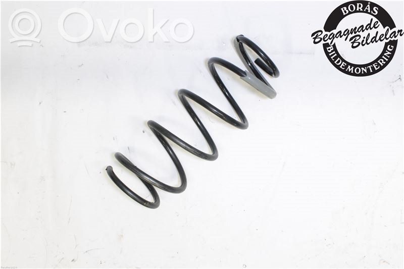 Front coil spring   D65634011E