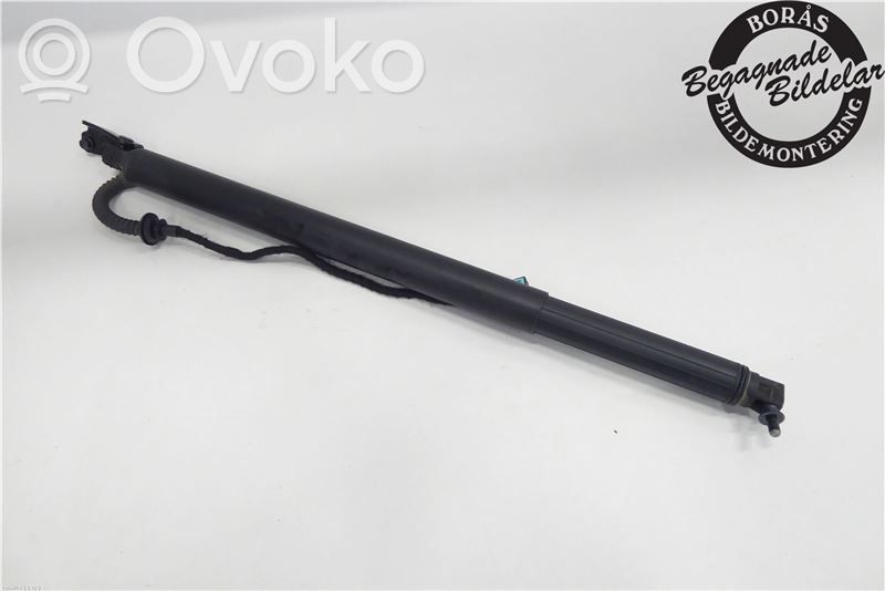 Tailgate strut   81770D4310