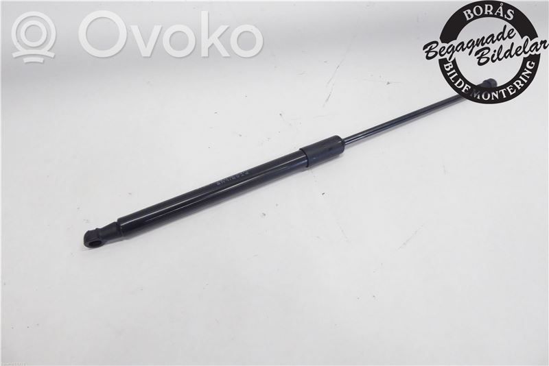 Tailgate strut   9813177780