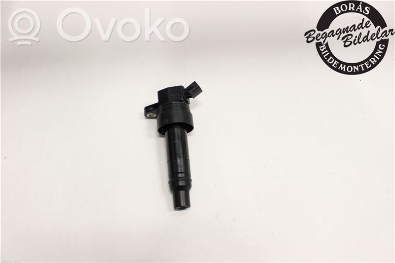 High voltage ignition coil   273012B110,273012B110,273012B110