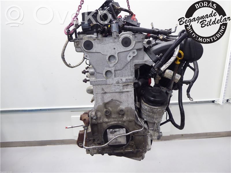 Engine   8251977,6906051,6906051