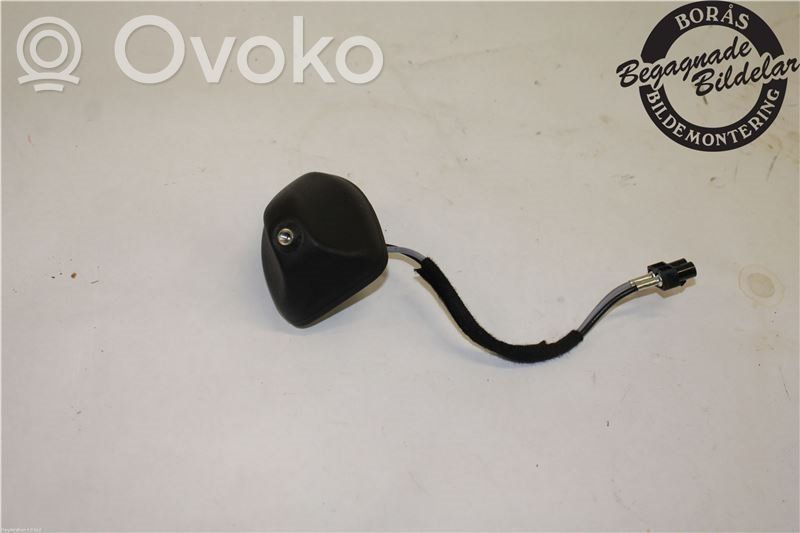 Ford Fiesta Radion antenni 