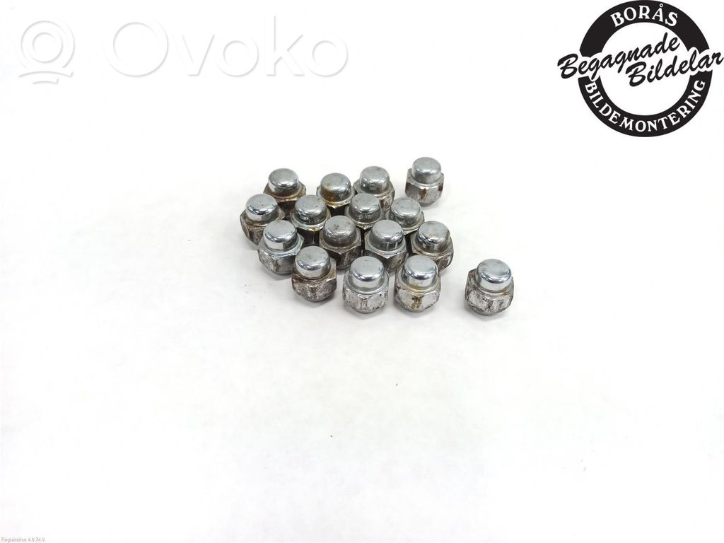 Nuts/bolts
