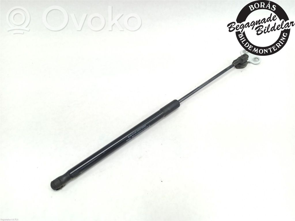 Tailgate strut   2232153