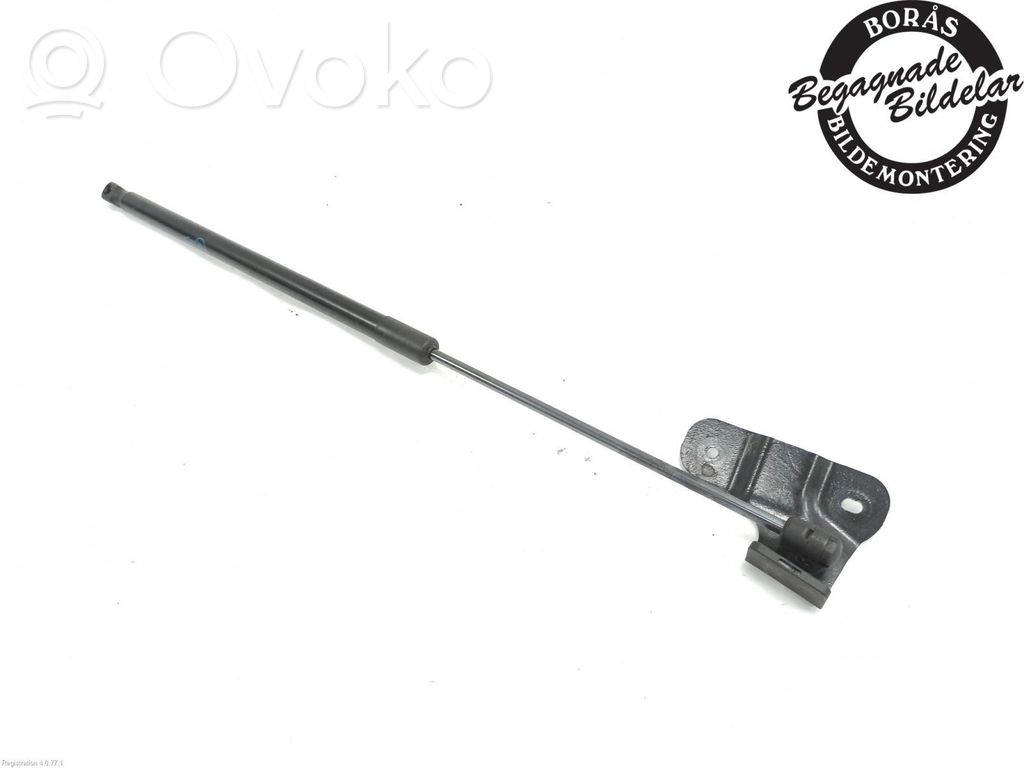 Tailgate strut   2440271