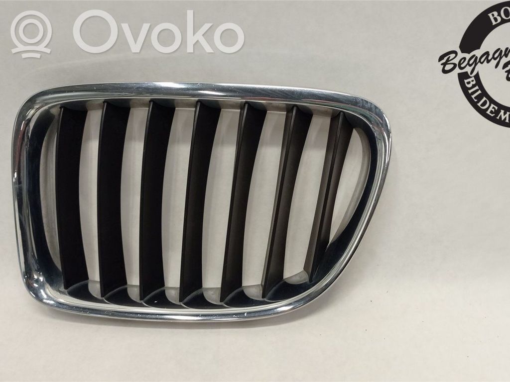 BMW X1 E84 Front bumper lower grill 