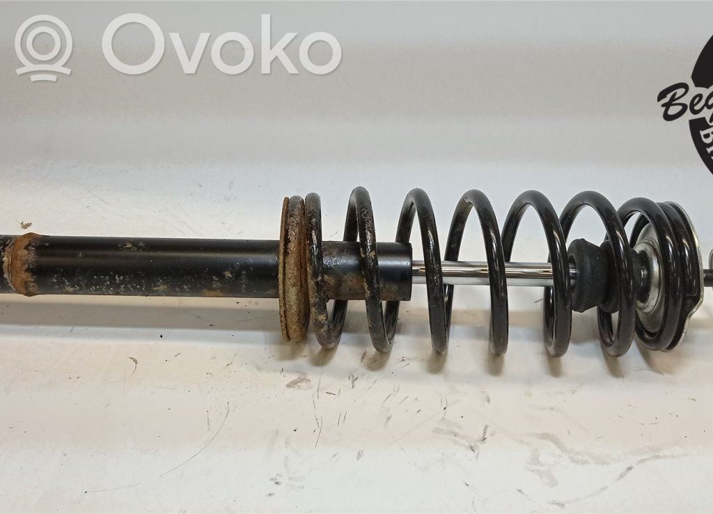 Front shock absorber with coil spring