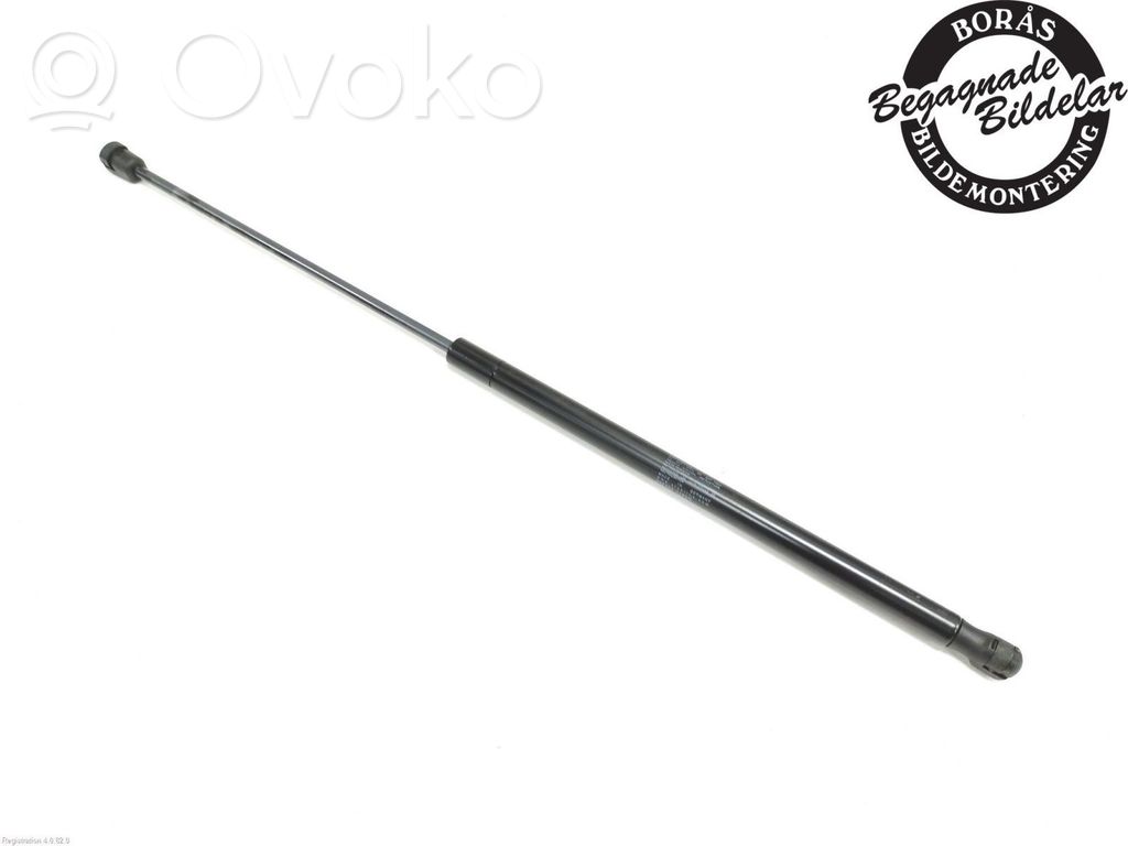 Tailgate strut   340353,340353