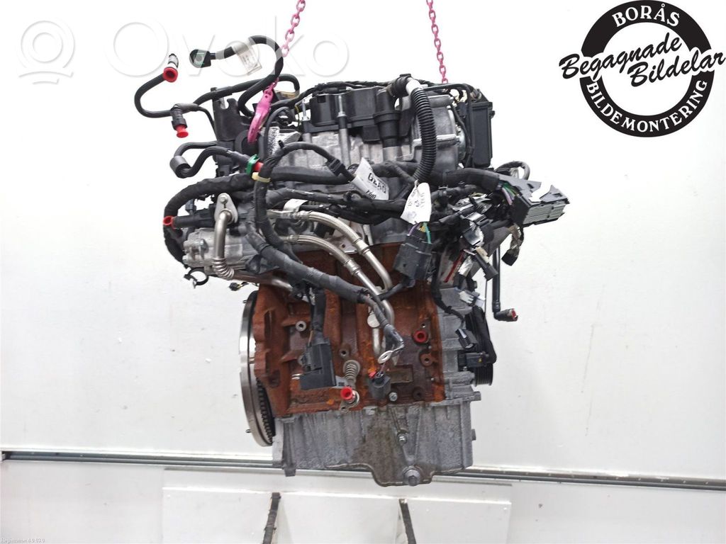 Ford Focus Silnik 