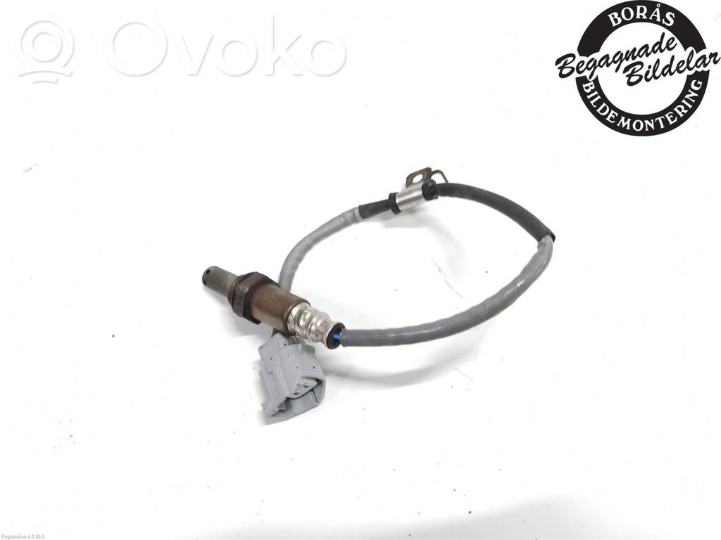 Lambda probe sensor   P51C18861