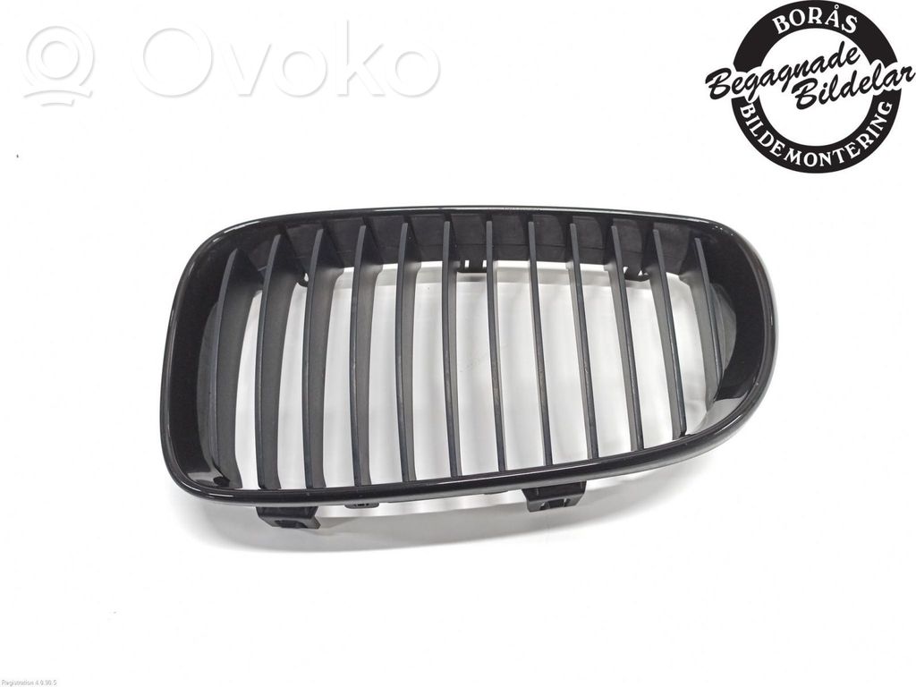 BMW 1 E82 E88 Etupuskurin alempi jäähdytinsäleikkö 