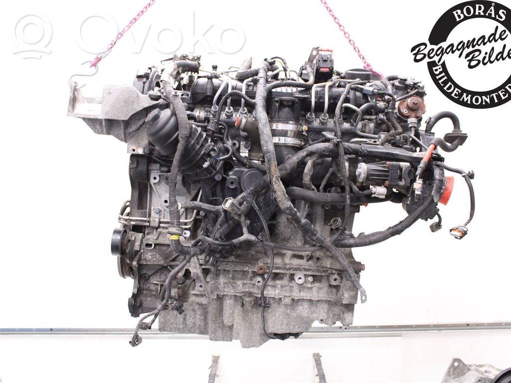 Engine   36050504