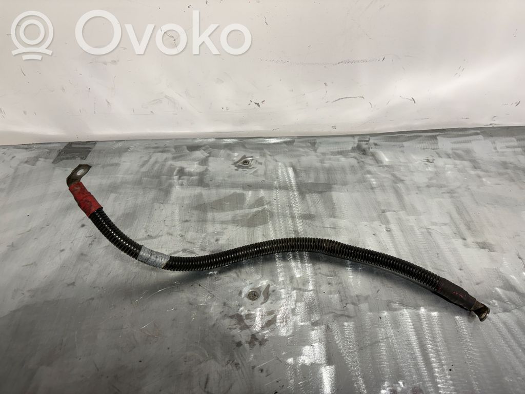 Cables (alternador)   7789222,61017880