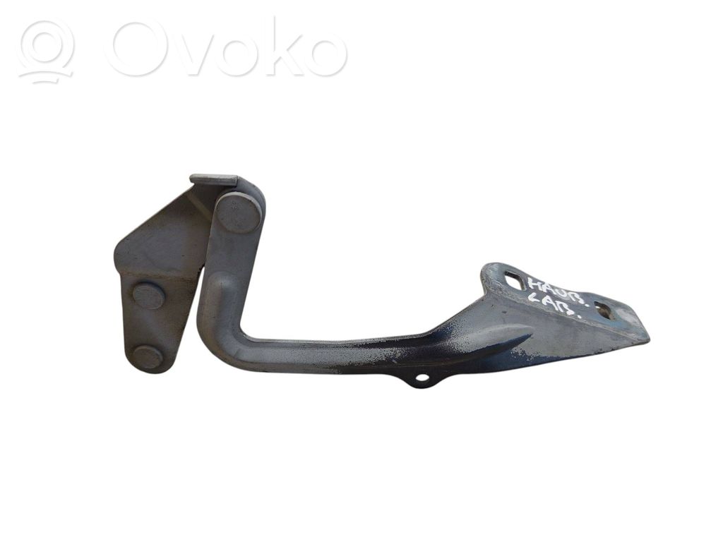 Ford Focus Dzinēja pārsega eņģe (-es) 