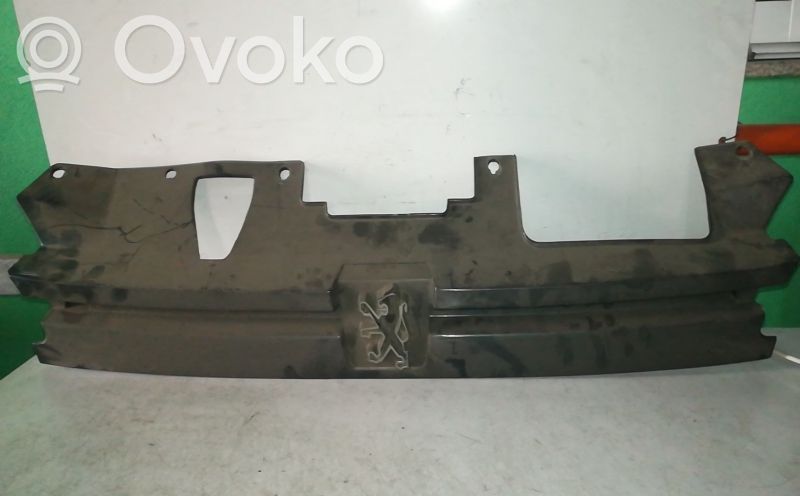 Front grill