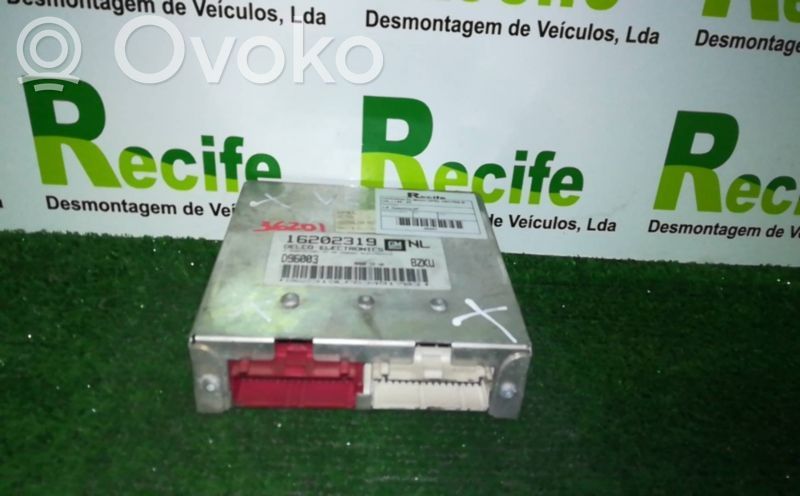 Engine control unit/module   16202319NL,D96003BZKU