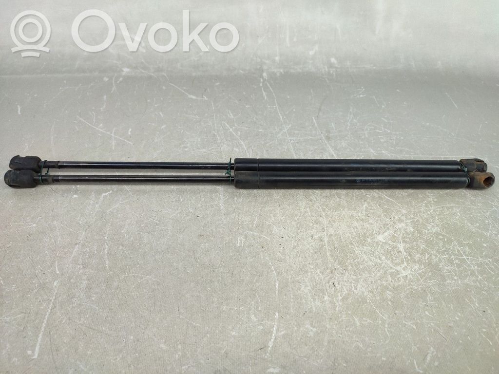 Tailgate/trunk strut/damper