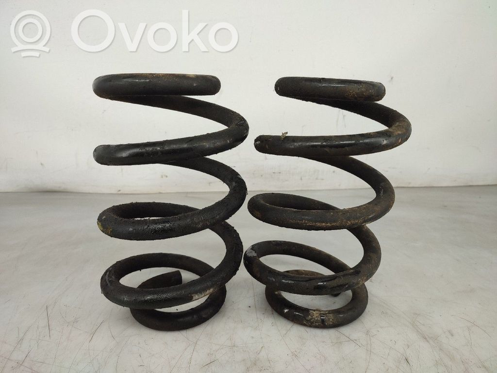 Rear coil spring
