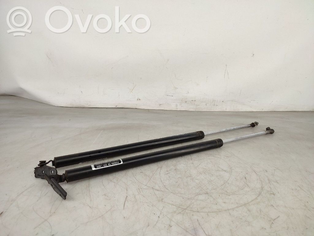 Tailgate/trunk strut/damper   K55362620A