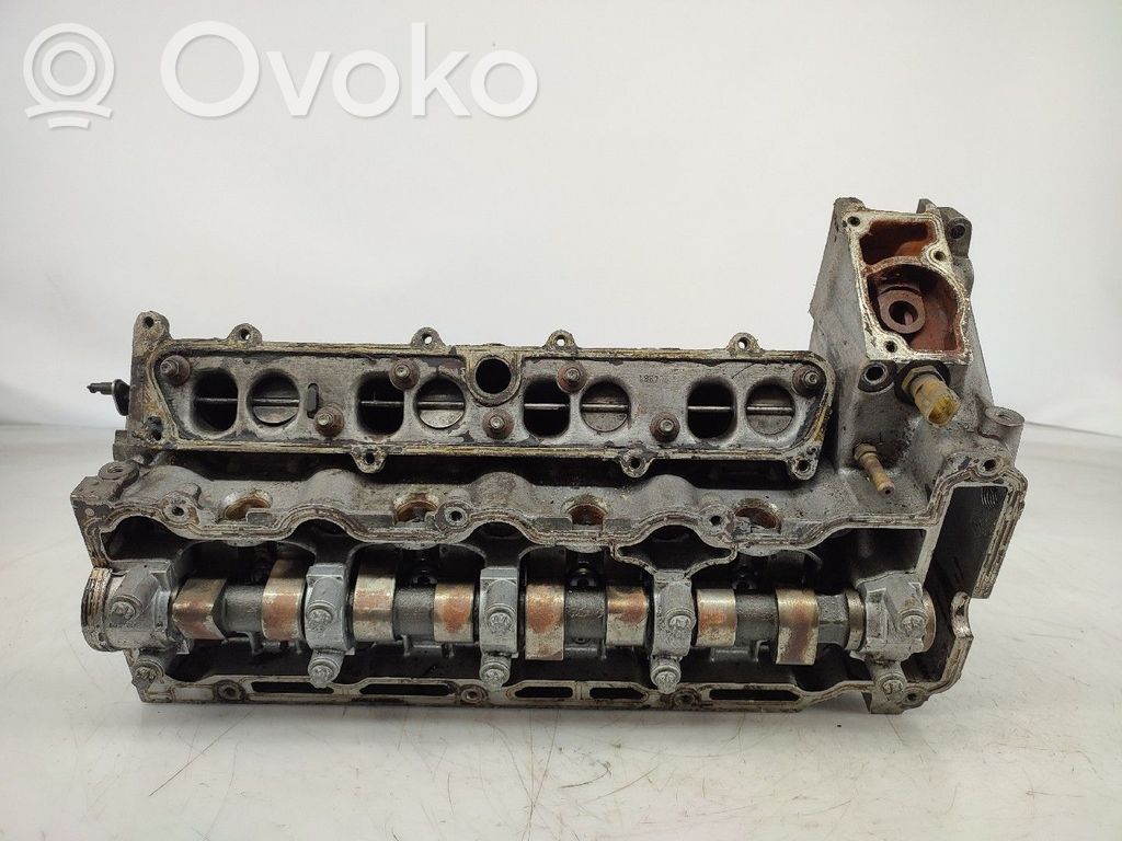 Galvutė   9128018