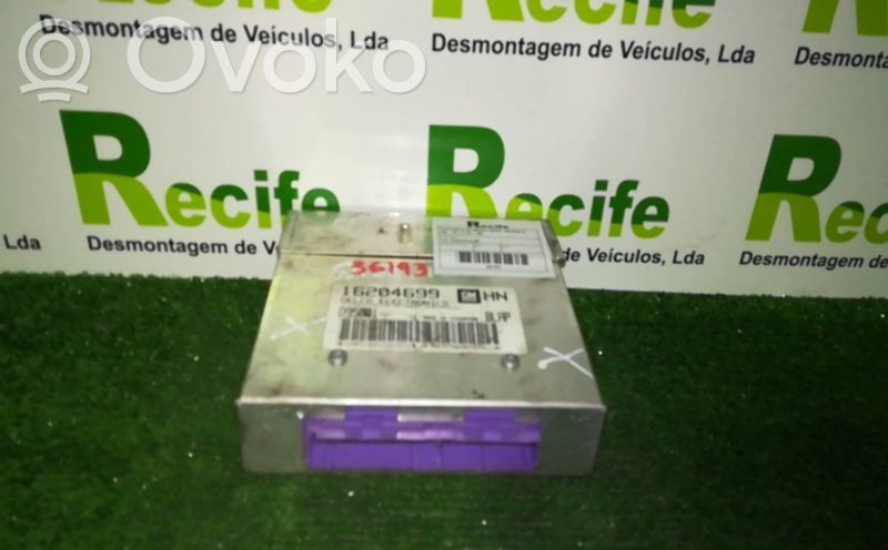 Engine control unit/module   16204699HN,D95001NLAP