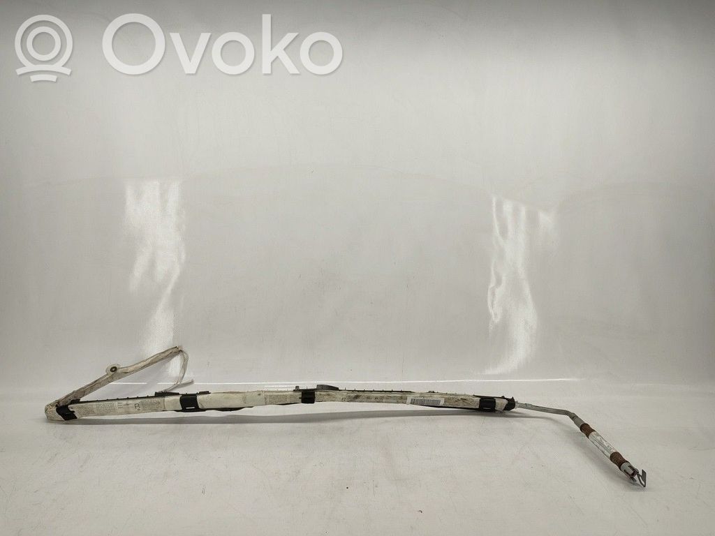 Airbag da tetto   1K6880742E