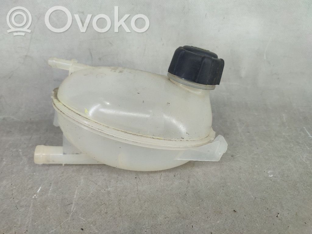 Depósito del refrigerante   217107259R