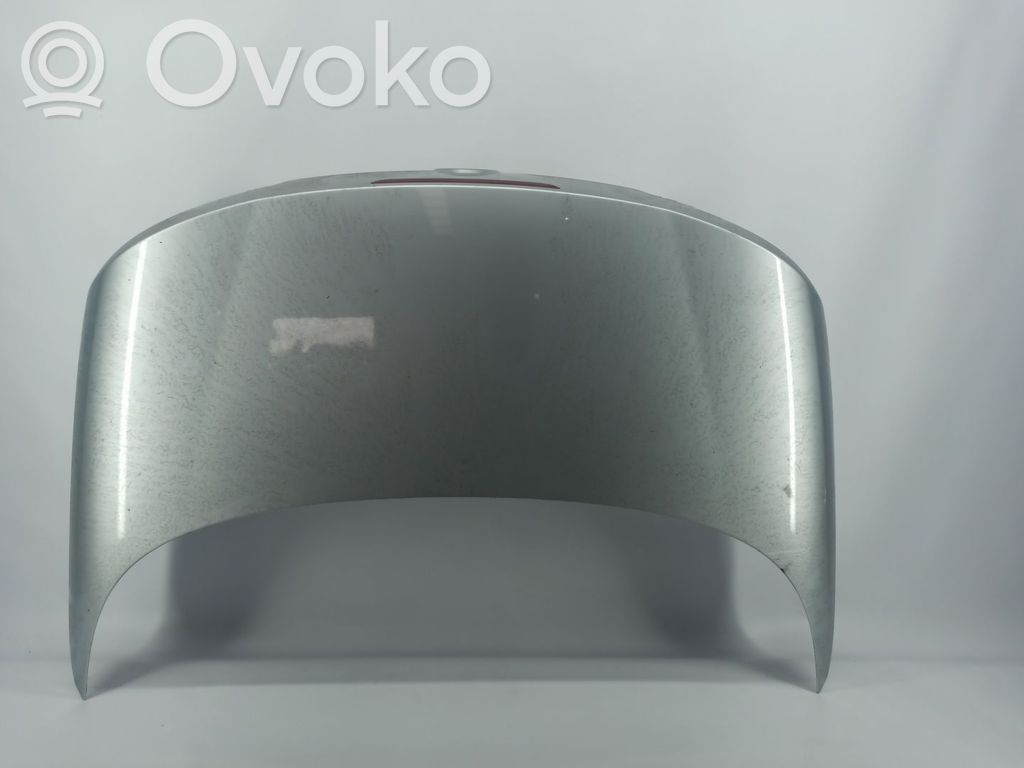 Tailgate/trunk/boot lid