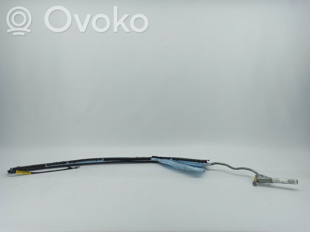 Airbag del techo   A2038602005