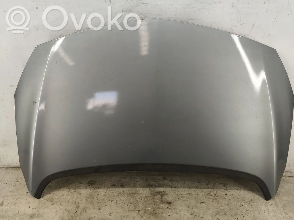 Vano motore/cofano