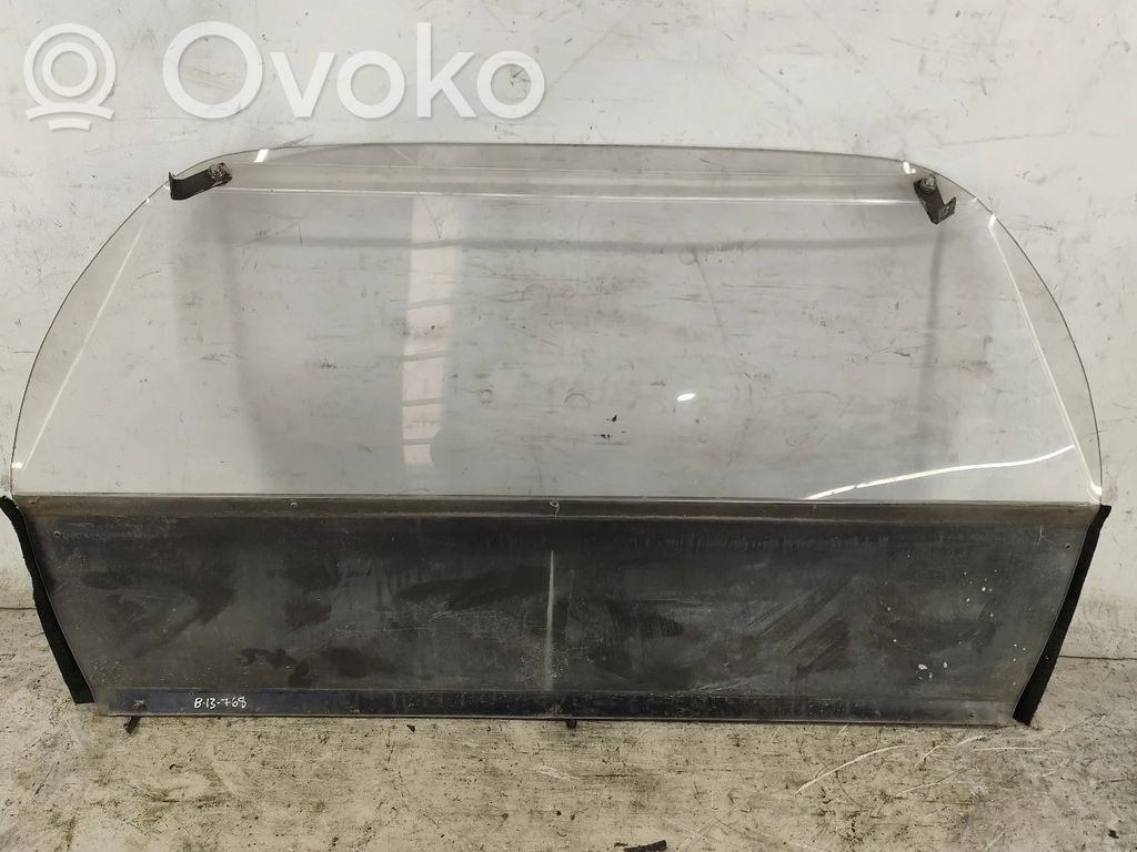 Trunk separation   ACRILICO
