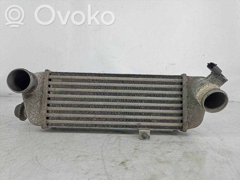 Intercooler radiator   282712A610,6719315