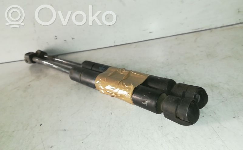 Tailgate/trunk strut/damper