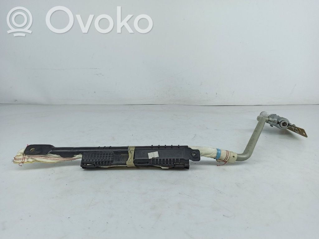 BMW X5 E53 Airbag del techo 